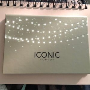 NWT 🎄 Iconic face pallette